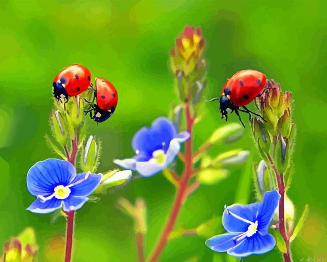 Ladybug And Flower Paint By Numbers.png