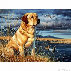 Lake Dog Paint By Numbers.png