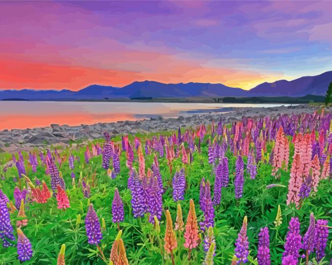 Lake Tekapo At Sunset Paint By Numbers.png
