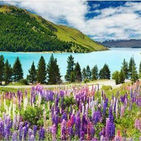 Lake Tekapo Paint By Numbers.png