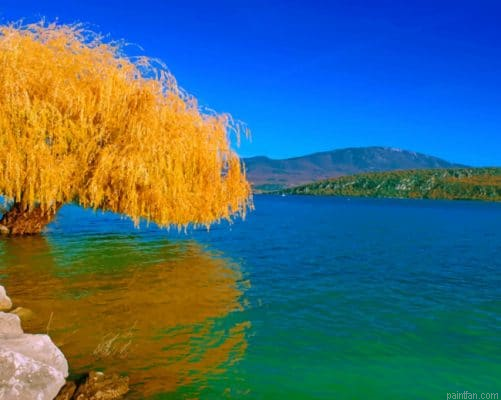 Lake Willow Yellow Tree Paint By Number.png