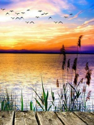 Lakeside Landscape Paint By Numbers.png