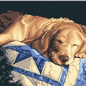 Lazy Dog Paint By Numbers.png