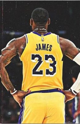 Lebron Back Paint By Numbers.png