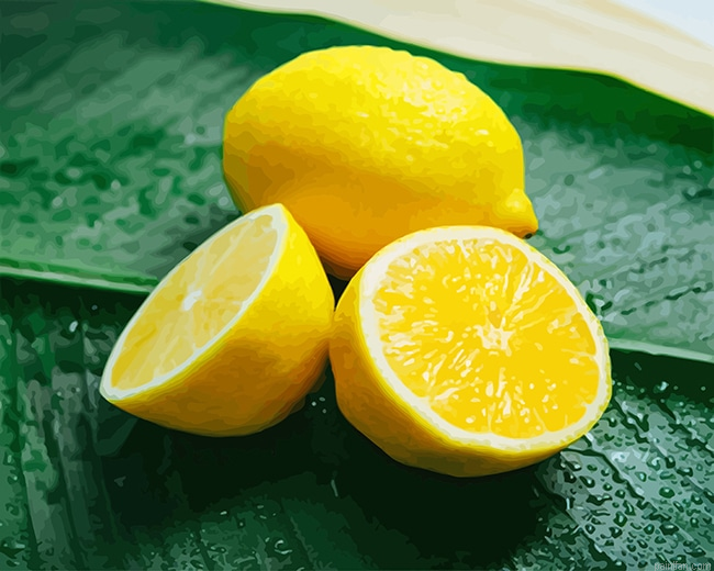 Lemon New Paint By Numbers.png