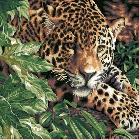 Leopard Animals Paint By Numbers.png