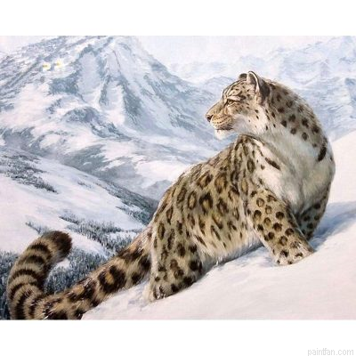Leopard In Snow Paint By Numbers.png