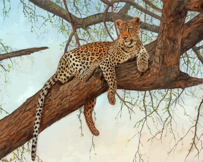 Leopard In Tree Paint By Numbers.png