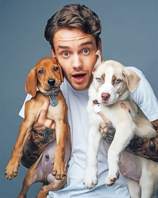 Liam Payne And His Pets New Paint By Numbers.png