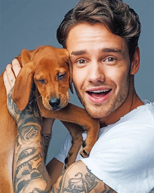 Liam Payne And His Puppy New Paint By Numbers.png