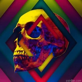 Lifeful Skull Paint By Numbers.png