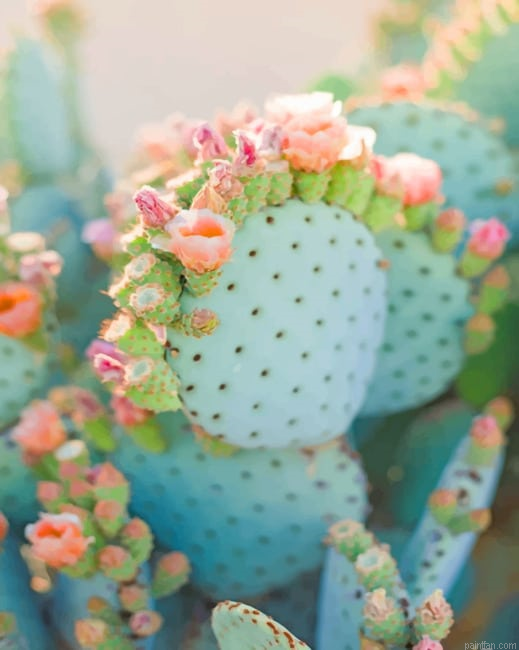 Light Green Cactus New Paint By Numbers.png