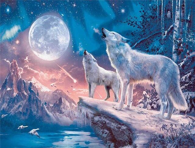 Light Wolves Paint By Numbers.png