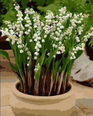 Lily Flowers Paint By Numbers.png