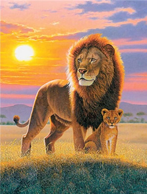 Lion And Cub Paint By Numbers.png