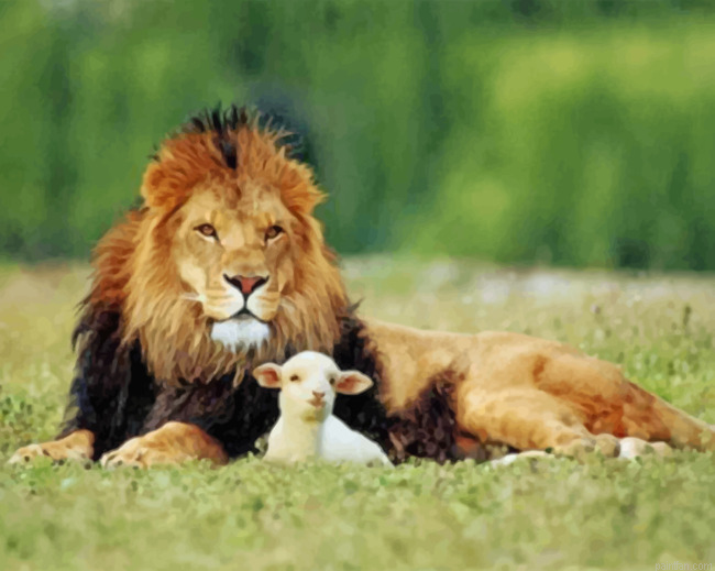 Lion And The Lamb Paint By Number.png