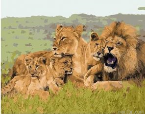 Lion Family Paint By Numbers.png