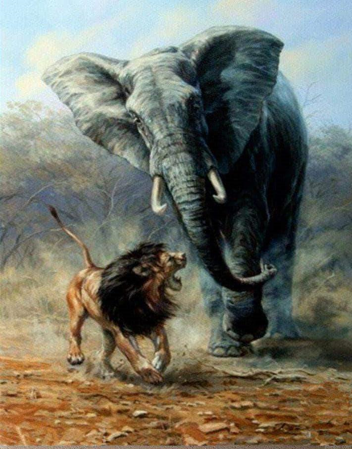 Lion And Elephant Paint By Numbers.png