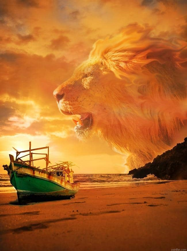 Lion In Beach Paint By Numbers.png