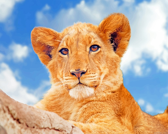 Lioness Under Blue Sky New Paint By Numbers.png