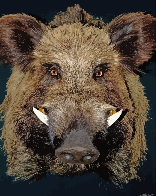 Little Boar Face Paint By Numbers.png