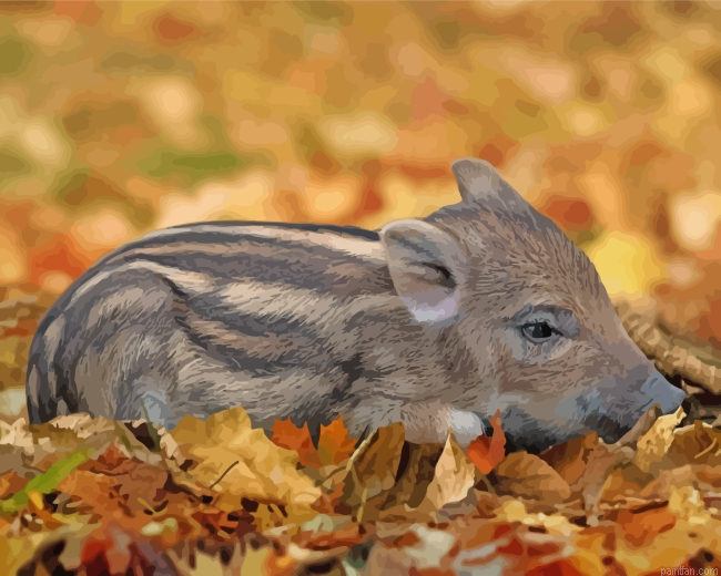 Little Boar Paint By Numbers.png