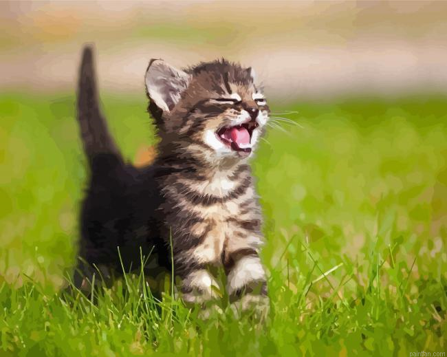 Little Happy Cat Paint By Numbers.png