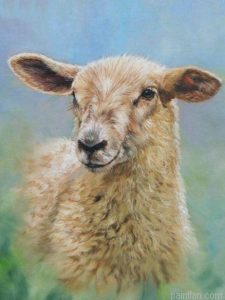 Little Sheep Paint By Numbers.png