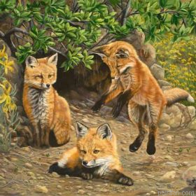Littles Foxes Paint By Numbers.png