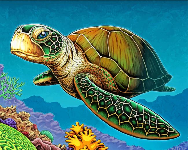 Loggerhead Sea Turtle Paint By Number.png