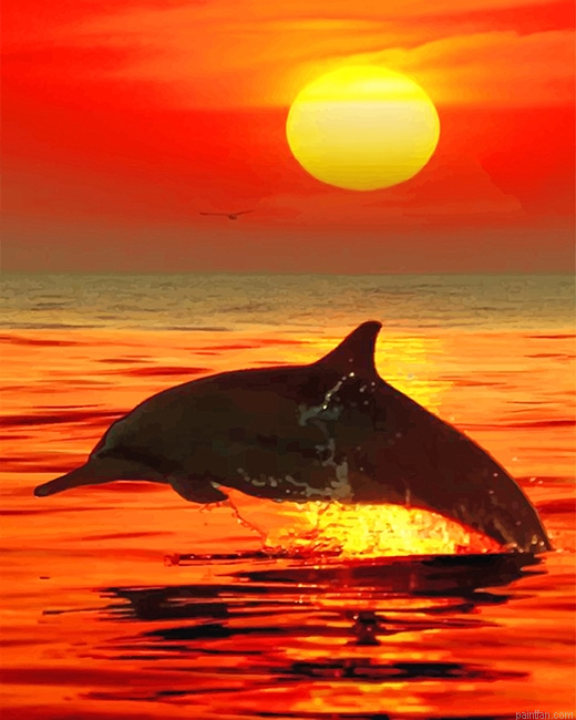 Lonely Dolphin Sunset New Paint By Numbers.png