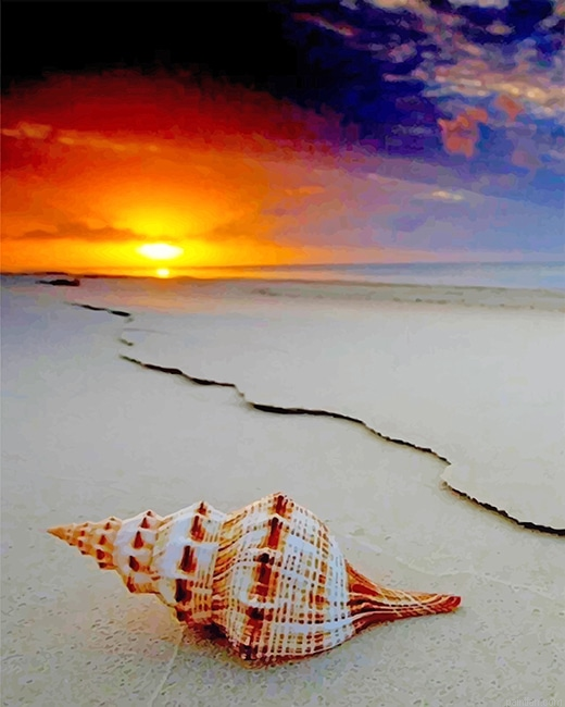 Lonely Shellfish New Paint By Numbers.png