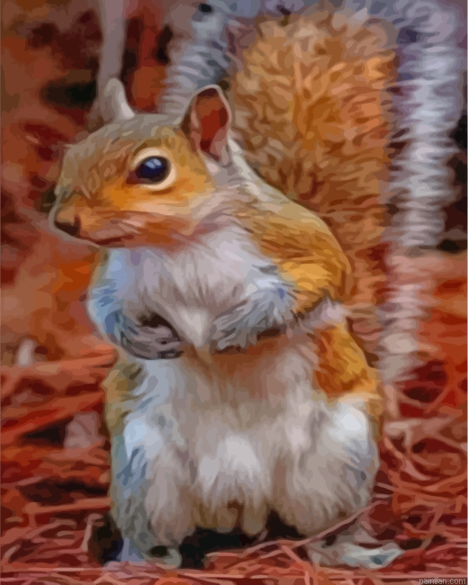 Lonely Squirrel Paint By Number.png