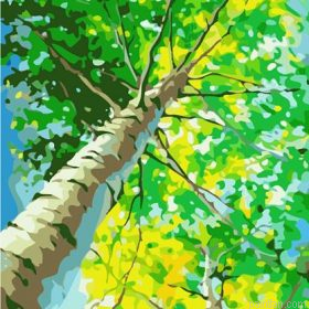 Looking Up Tree Paint By Numbers.png