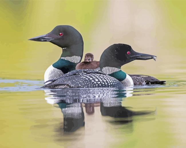 Loons Family On Lake Paint By Numbers.png