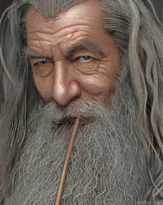 Lord Of The Rings Gandalf Paint By Number.png