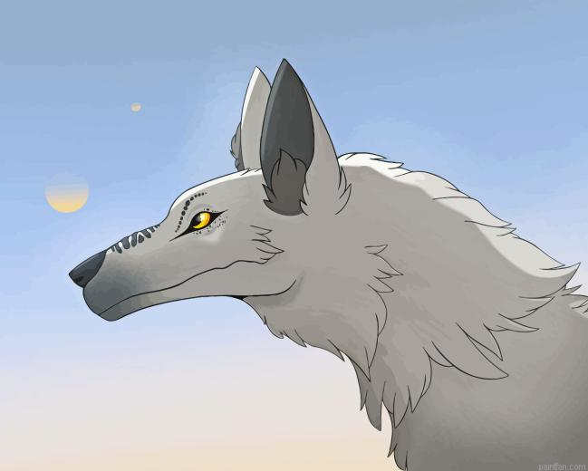 Loth Wolf Paint By Numbers.png