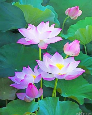 Lotu Flowers Paint By Numbers.png