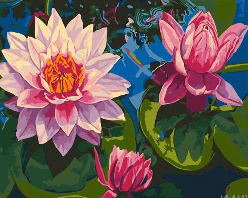 Lotus Flowers Paint By Numbers.png