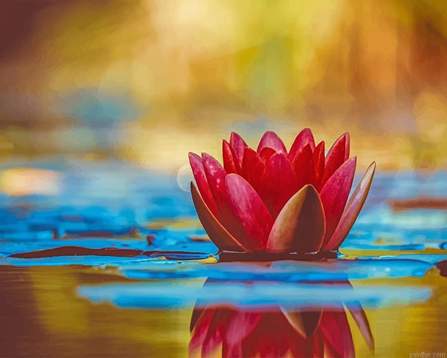 Lotus In The Water New Paint By Numbers.png