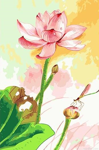 Lotus And Dragonfly Paint By Numbers.png