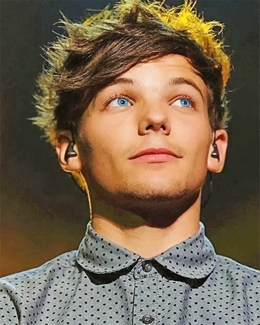 Louis Tomlinson New Paint By Numbers.png