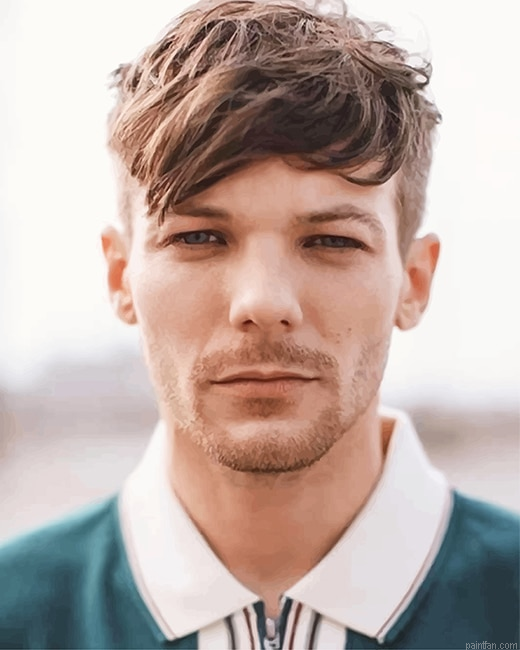 Louis Tomlinson New Haircut New Paint By Numbers.png