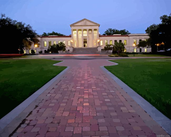Louisiana State University Paint By Numbers.png