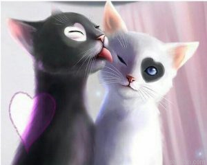 Love Cats Paint By Numbers.png