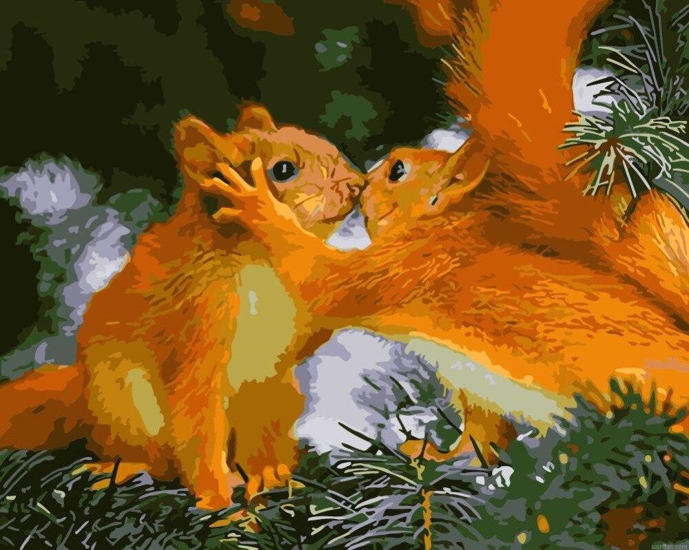 Love Squirrel Paint By Numbers.png