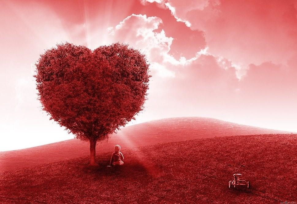 Love Tree Paint By Numbers.png