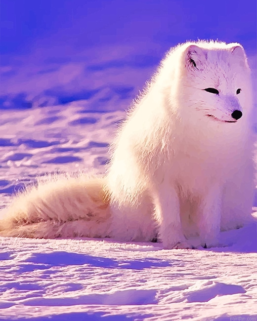Lovely Arctic Fox New Paint By Numbers.png
