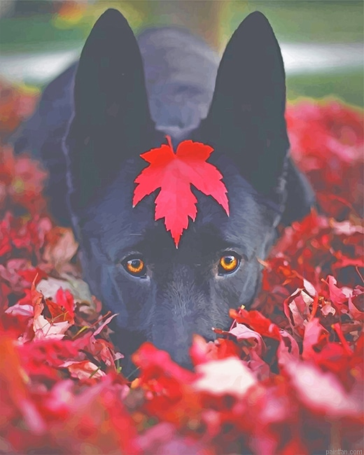 Lovely Black Dog New Paint By Numbers.png