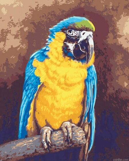 Macaw Birds Paint By Numbers.png